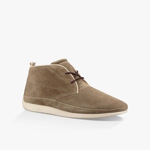 Ugg Cali Chukka Stövlar Herr Bruna (591748EKG)